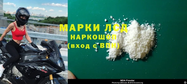 ECSTASY Белокуриха