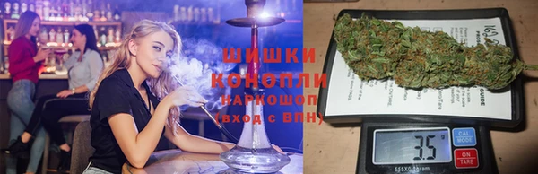 ECSTASY Белокуриха