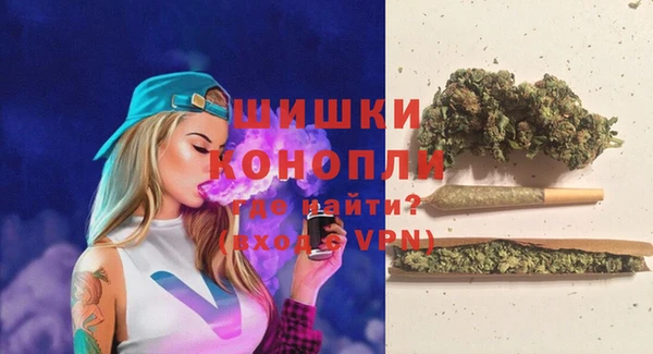 ECSTASY Белокуриха