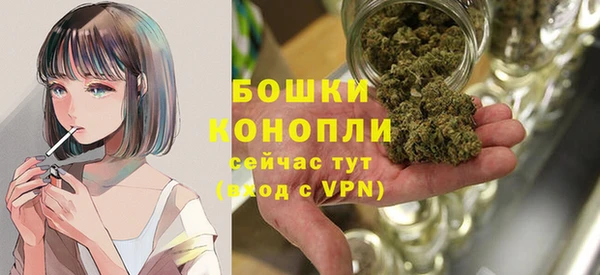 шишки Беломорск