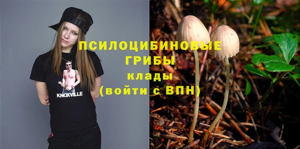 ECSTASY Белокуриха
