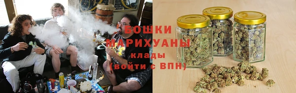 шишки Беломорск