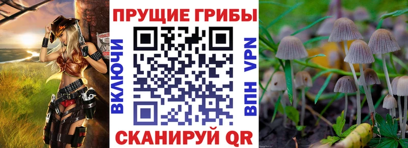 Галлюциногенные грибы MAGIC MUSHROOMS  Елизаветинская 