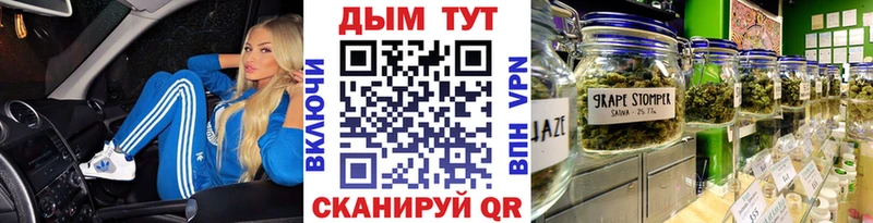 цена   Елизаветинская  Шишки марихуана индика 